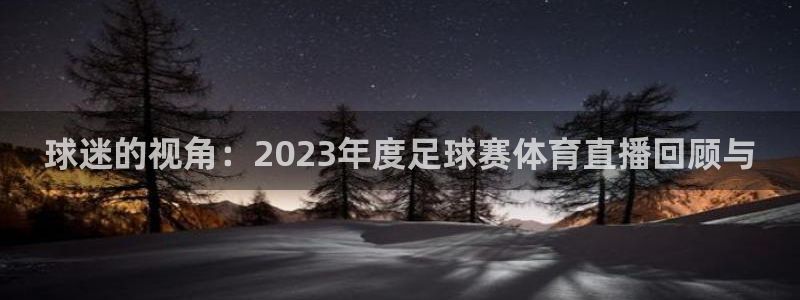球迷的视角：2023年度足球赛体育直播回顾与