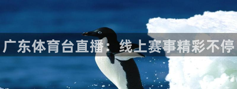广东体育台直播：线上赛事精彩不停