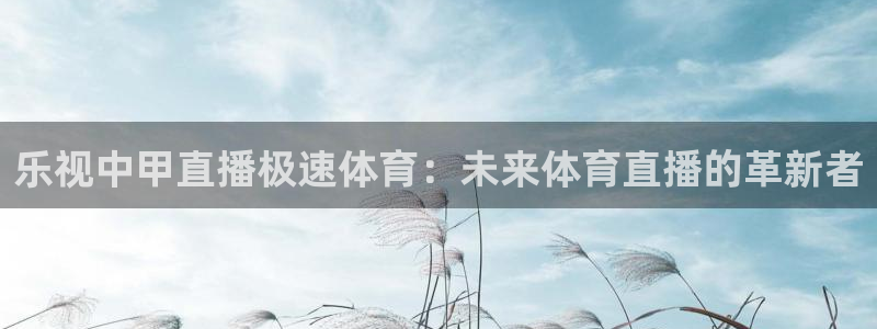 乐视中甲直播极速体育：未来体育直播的革新者