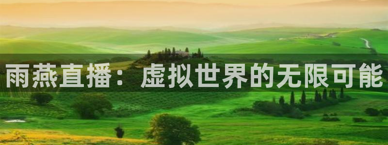 雨燕直播：虚拟世界的无限可能
