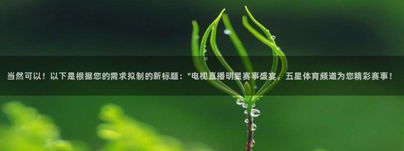 当然可以！以下是根据您的需求拟制的新标题：\