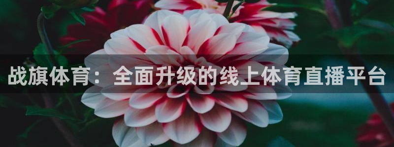 战旗体育：全面升级的线上体育直播平台